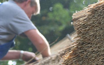 professional Birch thatchers