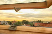 rated Birch roof window companies